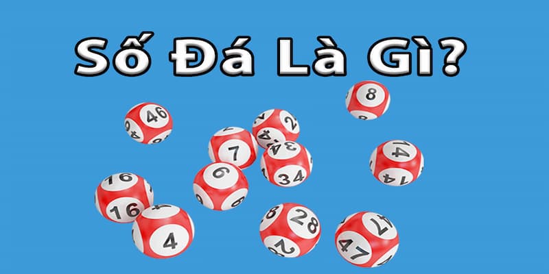 Tổng Quát Về Lô Đề Số Đá