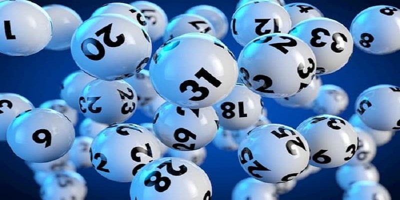 Tổng quan về Lô 3 càng miền Bắc