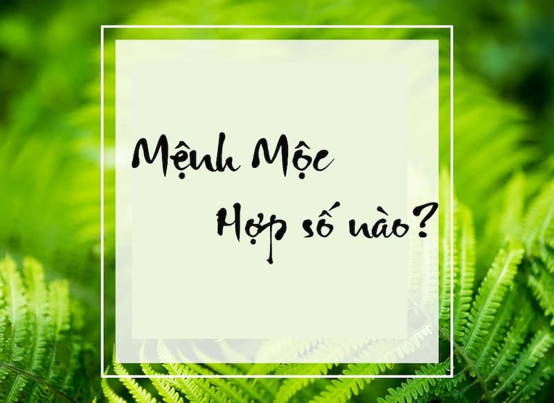 Khái niệm của mệnh mộc