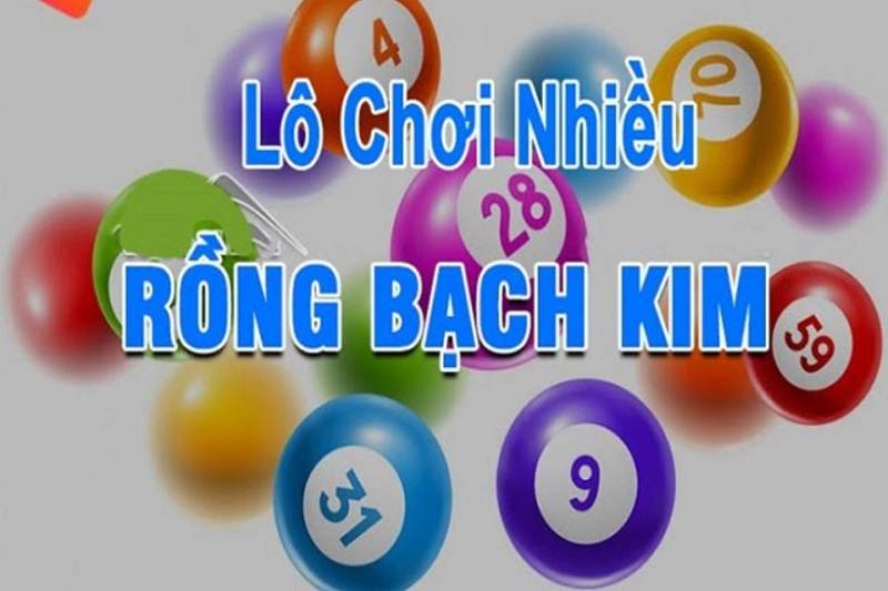 Rồng Bạch Kim soi cầu được nhiều cao thủ chọn