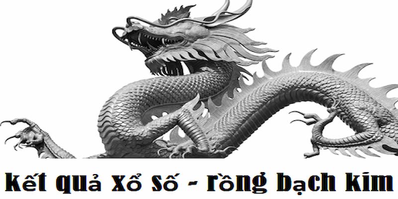 Lý do anh em nên tin dùng Rồng bạch kim 686