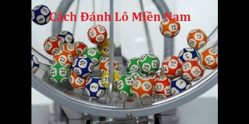 Anh em sẽ chọn một trong 3 số đó để sử dụng nuôi trong các ngày sau