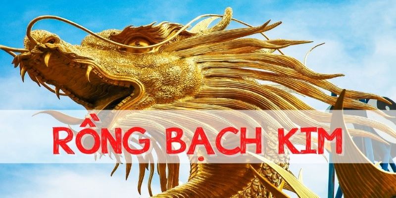 Dự Đoán Rồng Bạch Kim – Dự Đoán Kết Quả Xổ Số Nhanh Nhất