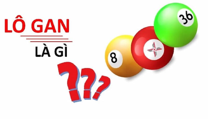 Lô gan miền Bắc là gì?