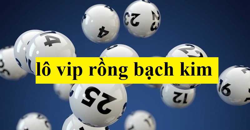 Tìm hiểu chi tiết về lô vip rồng bạch kim