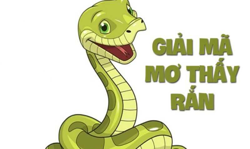 Mơ rắn vàng nên đánh con gì?