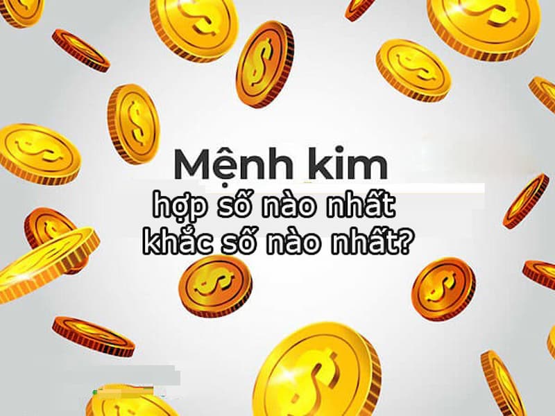 Người có số mệnh Kim