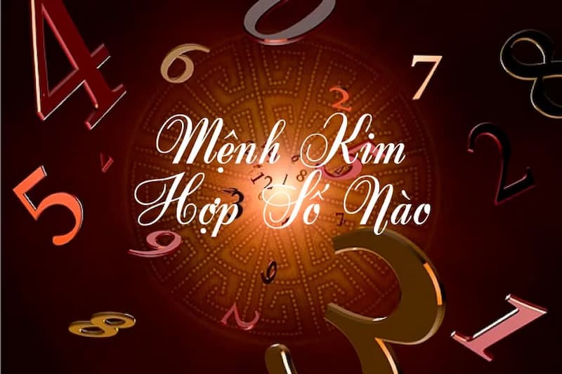 Mệnh Kim hợp số nào?