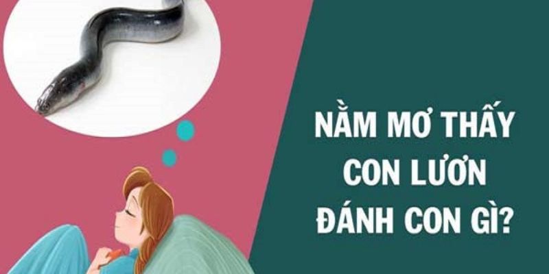 Giấc mơ đi bắt lươn mang điềm báo gì trong tương lai?
