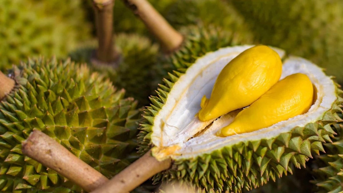 Giải mã giấc mơ thấy quả sầu riêng