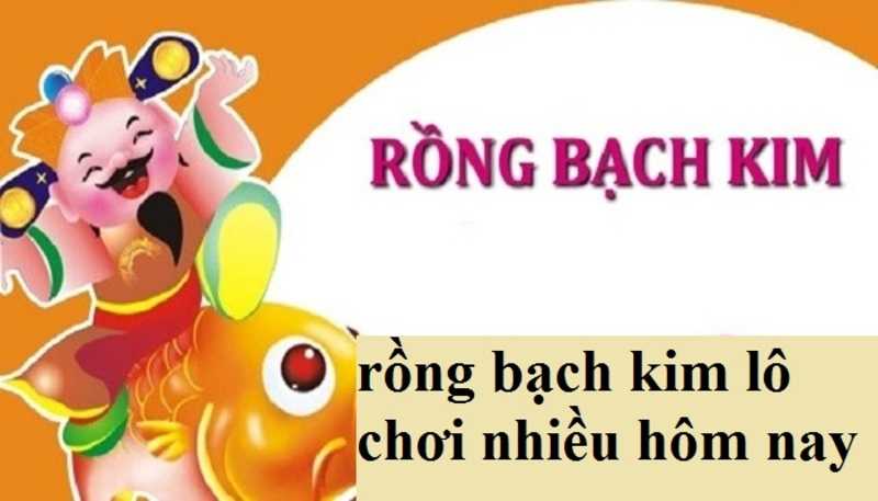 Khám phá rồng bạch kim lô được chơi nhiều nhất hôm nay