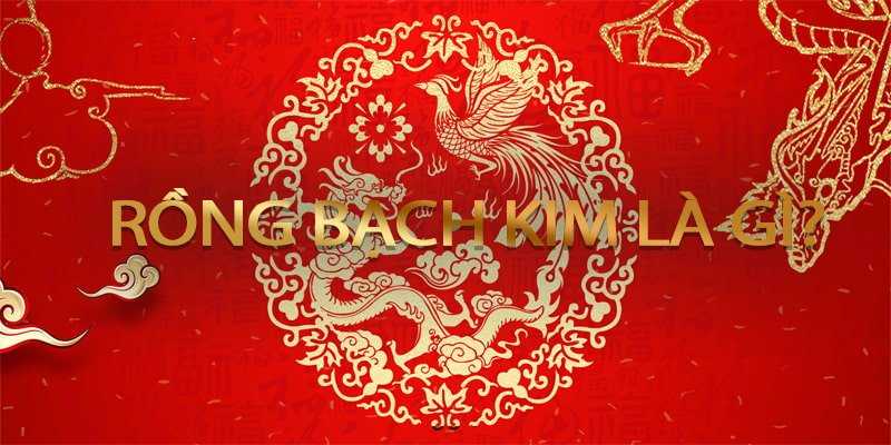 Bật mí những thông tin thú vị về địa chỉ cho anh em