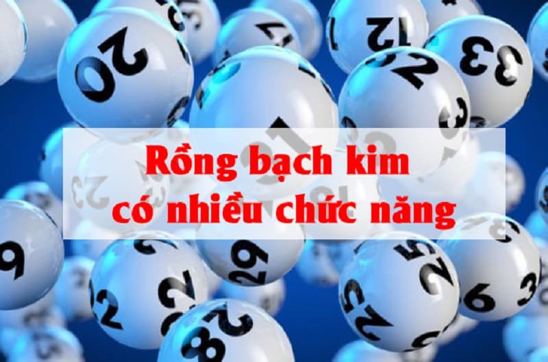 Đa dạng chức năng