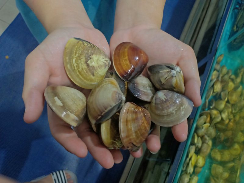 Mơ thấy ngao là điềm gì? Bức tranh tổng quan