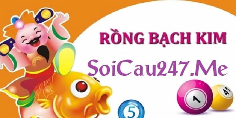 Thông tin sơ lược về soi cầu rồng bạch kim 247