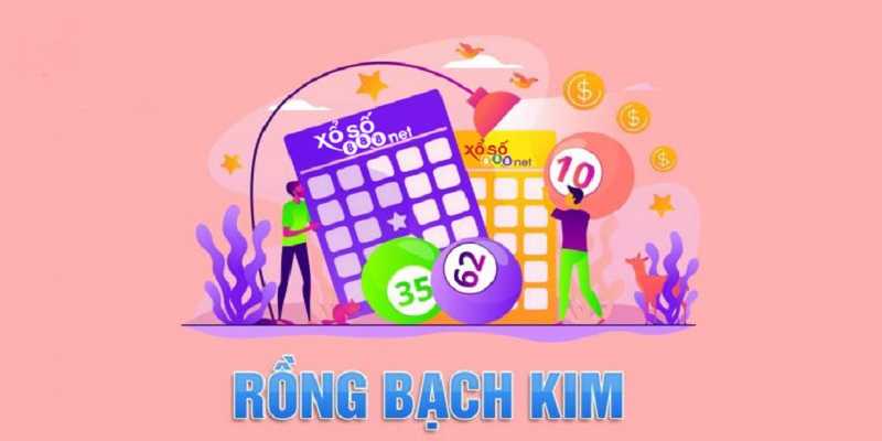 Bật mí về soi cầu 888 rồng bạch kim hoàn toàn miễn phí