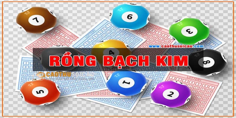 Bí quyết soi cầu lô rồng bạch kim là gì?