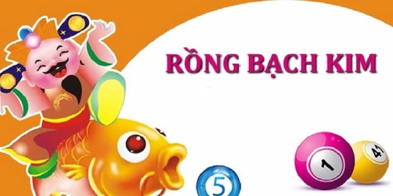 Giới thiệu về rồng bạch kim