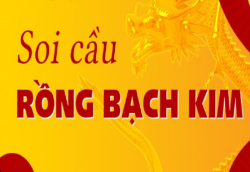 Thực hiện soi cầu rồng bạch kim
