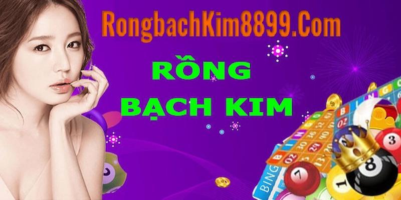Sơ lược vài nét cơ bản về soi cầu rồng bạch kim 8899