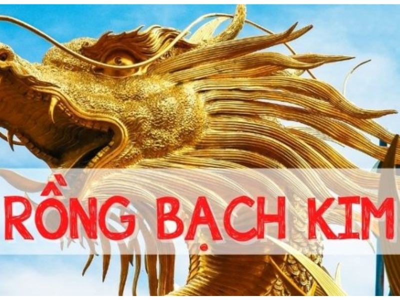 Soi cầu Rồng Bạch Kim với đánh lô hiệu quả