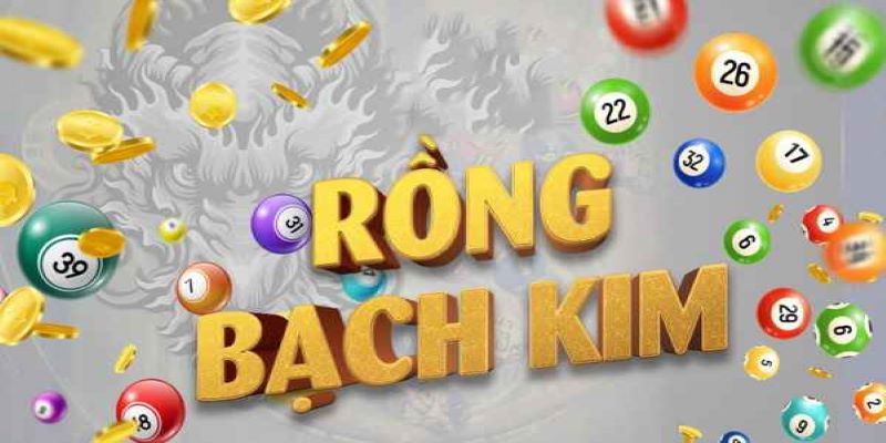 Thuật ngữ trong soi cầu rồng bạch kim