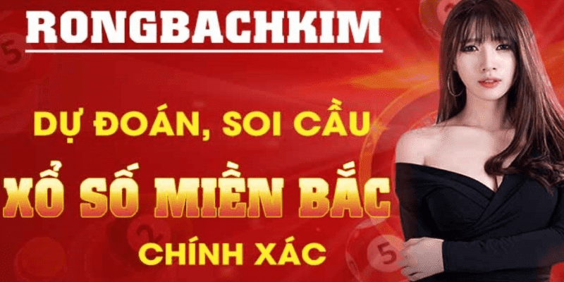 Kỹ thuật soi rồng bạch kim 247 bằng nuôi khung
