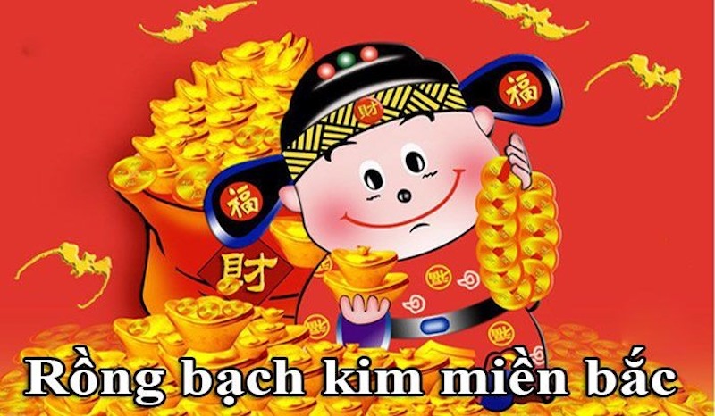 Soi cầu xổ số miền bắc rồng bạch kim hiểu là gì?