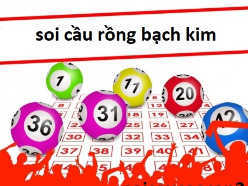Kinh nghiệm khi soi cầu mb rồng bạch kim